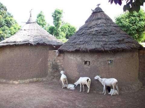 goat mud house