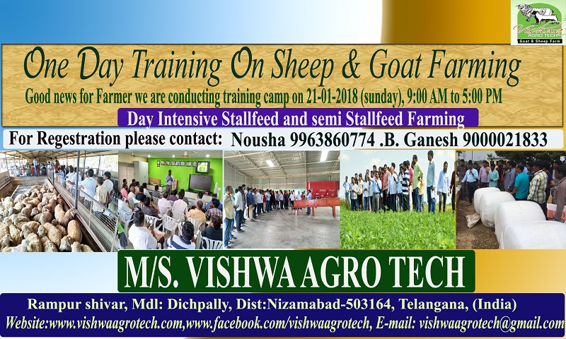 Goat Farming Training In Telengana by Viswa Agrotech