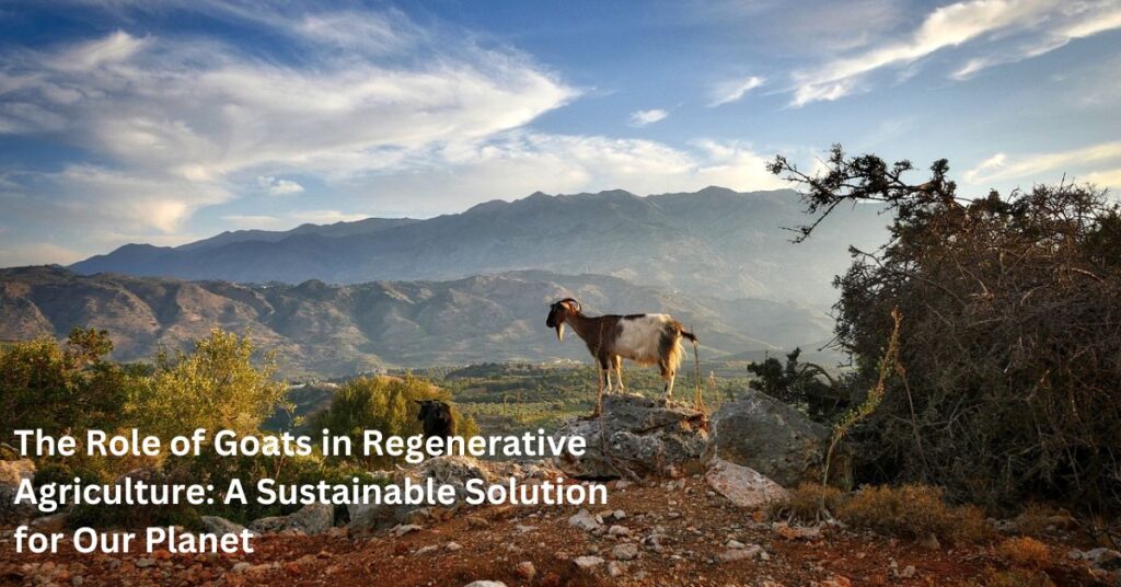 The Role of Goats in Regenerative Agriculture: A Sustainable Solution for Our Planet