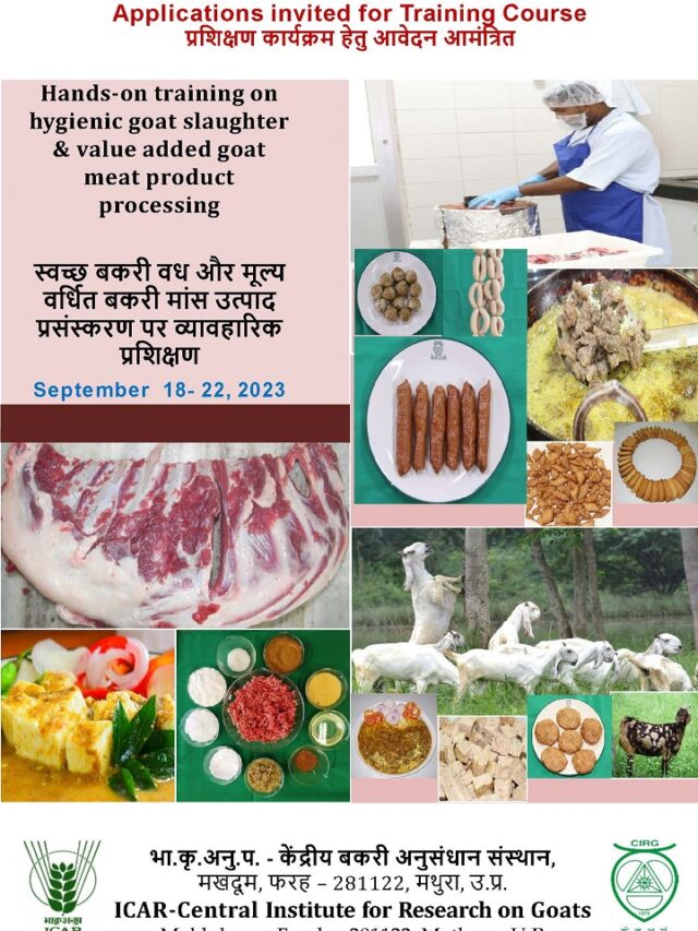 CIRG Training – Hands-on training on hygienic goat slaughter & value added goat meat product processing